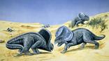 Two protoceratops from a group fighting in the desert