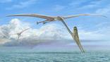 Pterosaurs catching fish from the sea