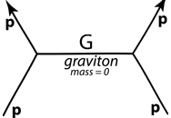 Feynman diagram: gravitational interaction (gluons)