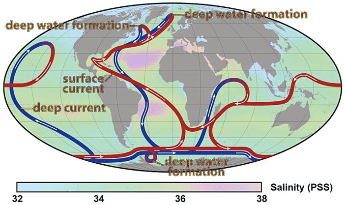 Thermohaline ocean  circulation 