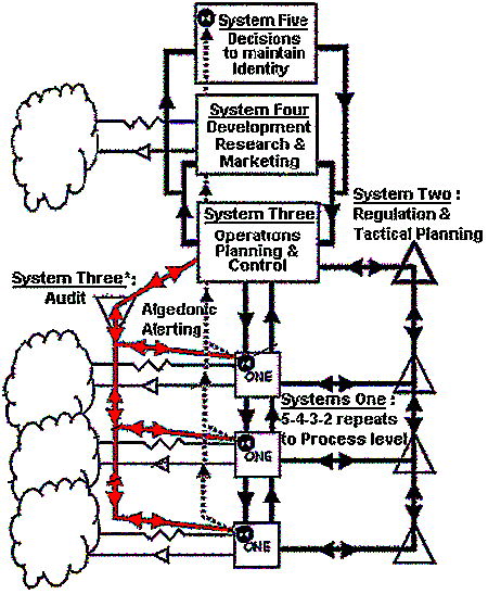 Principal functions of the viable system model