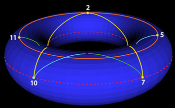 Projection of selected Knight's moves onto a torus