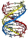 Triple helix 