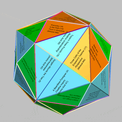 48-faced dual of Truncated cuboctahedron mapped with  48 koans and 47  micronutrients