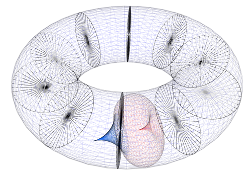 Toroidal container of stages