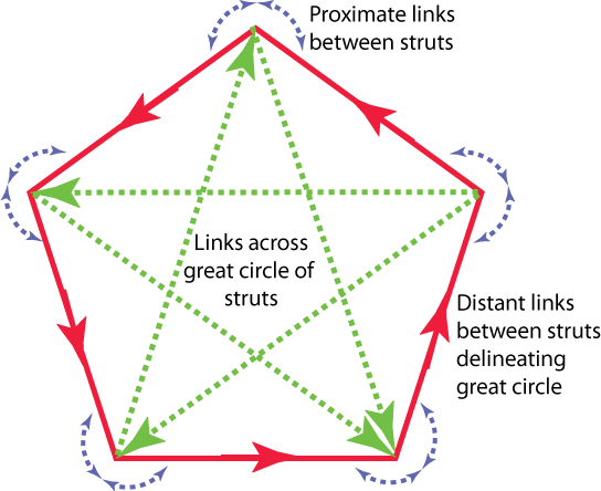 Forms of pentagonal connectivity